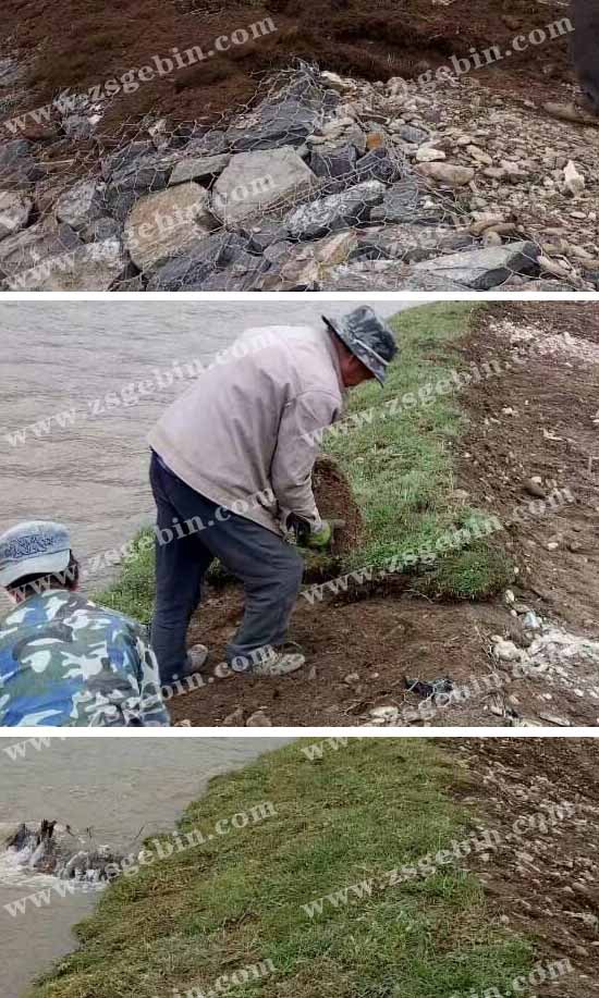 雷諾護墊護岸 雷諾護墊護岸