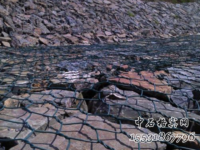 覆塑賓格網.jpg